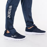 Champion IV
