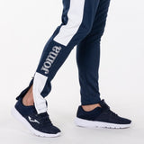 Champion IV