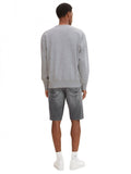 Josh shorts 29