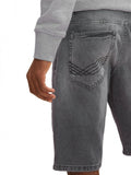 Josh shorts 29
