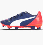evoPower 2.2 FG