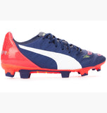 evoPower 2.2 FG