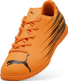 Attacant It Jr  34.5