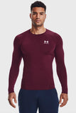 UA HG Armour Comp LS LG