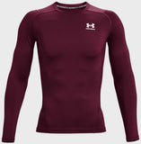 UA HG Armour Comp LS LG