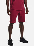 UA RIVAL TERRY SHORT L