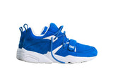 x Colette x Ronnie Fieg Blaze of Glory (used)