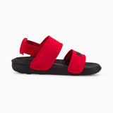 Summer Cat Red/Black
