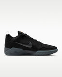 Lebron Witness IX