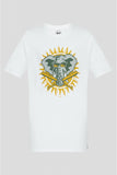 MLB OAKLAND ATHLETICS COOPERST