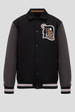 DETROIT TIGERS
