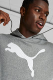 Men's Big Cat Logo Hoodie