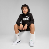 ESS No. 1 Logo Hoodie TR 128