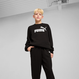 ESS Logo Crew Sweat Suit TR 128