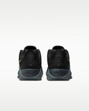 Lebron Witness IX