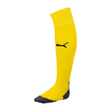 TEAM LIGA SOCKS CORE