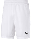 teamGOAL 23 knit Shorts L