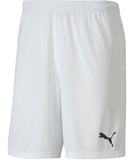 teamGOAL 23 knit Shorts L