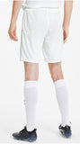 teamGOAL 23 knit Shorts L