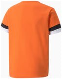 teamRISE Jersey Jr 116
