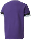 teamRISE Jersey Jr 116