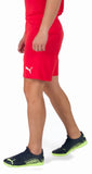 teamRISE Short L