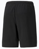 teamRISE Short L