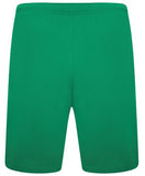 teamRISE Short L