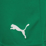 teamRISE Short L