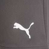 teamRISE Short L