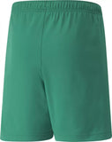 teamRISE Short Jr 116