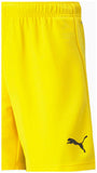 teamRISE Short Jr 104