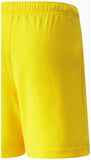 teamRISE Short Jr 104