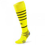 Borussia Dortmund BVB
