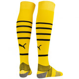 Borussia Dortmund BVB
