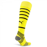 Borussia Dortmund BVB