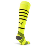 Borussia Dortmund BVB