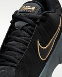 Lebron Witness IX