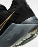 Lebron Witness IX