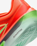 Zoom Fly 6