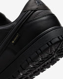 Dunk Low GTX