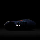 Air Zoom Pegasus 41