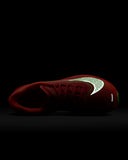 Zoom Fly 6