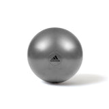 Gymball 55