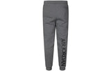 Air Jordan Jumpman Classics Fleece Pants Gray