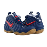 Air Foamposite Pro