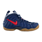 Air Foamposite Pro