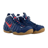 Air Foamposite Pro
