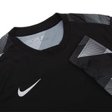 Dry Park IV Goalkeeper Jersey Long Sleeve