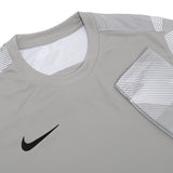 Dry Park IV Goalkeeper Jersey Long Sleeve